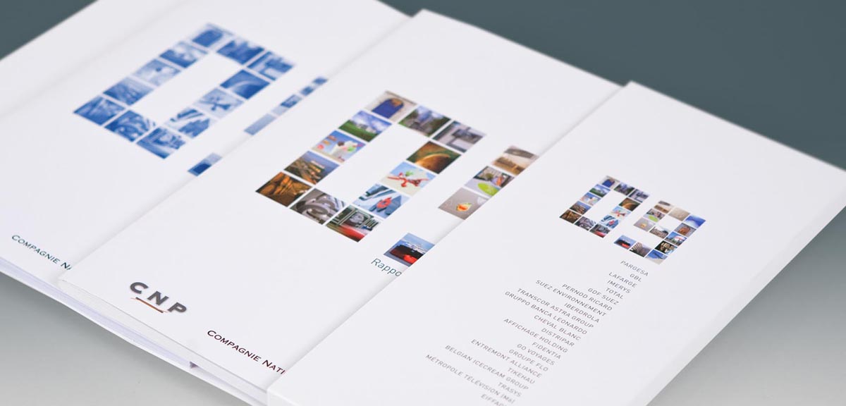 CNP - Annual Report 2009