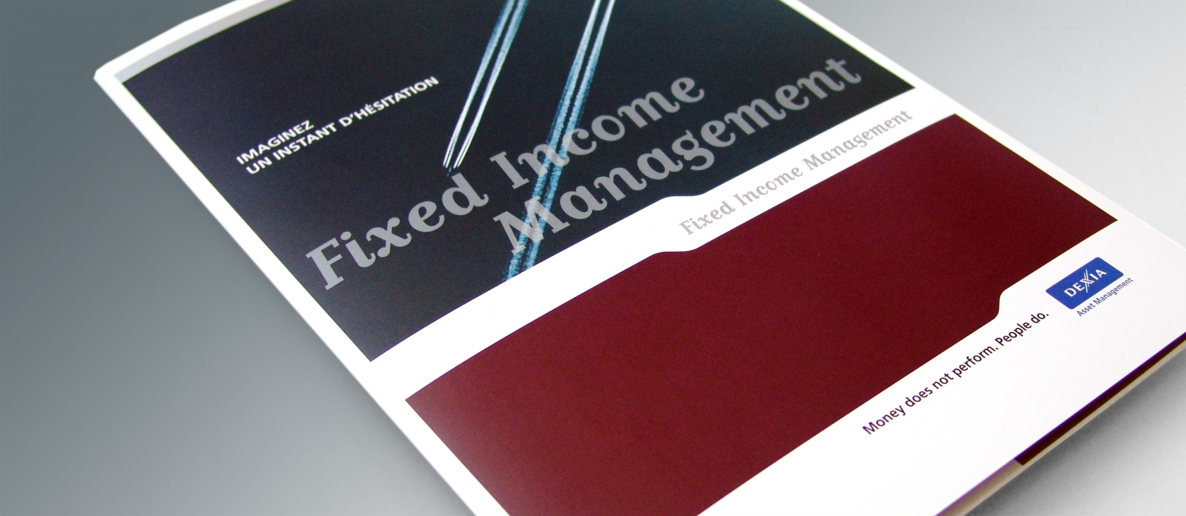 Dexia - Fixed Income Management brochure