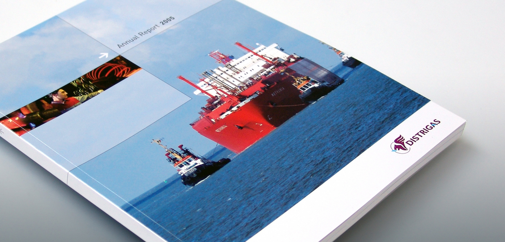 Distrigas - Annual Report 2005